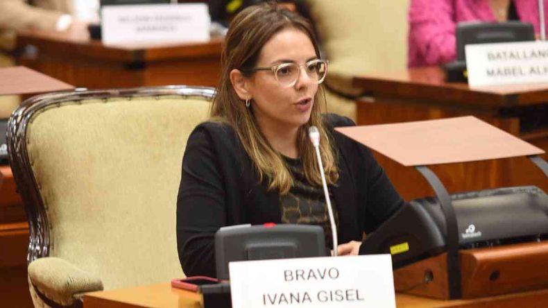 Diputados aprobaron la aplicaci&oacute;n del Protocolo C&oacute;digo Mariposa