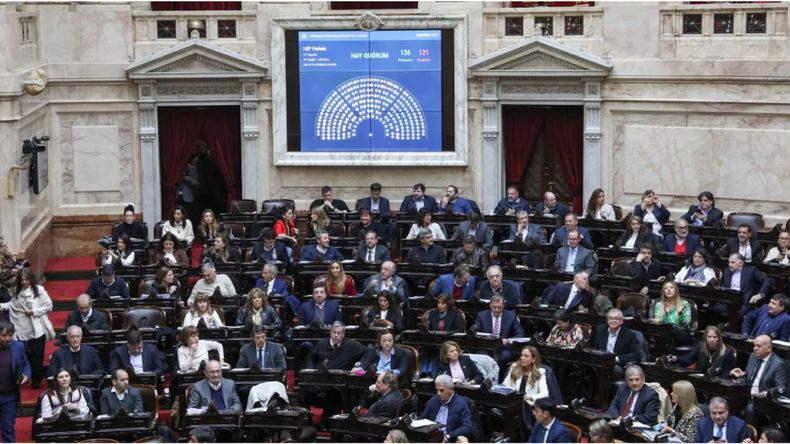 Diputados ya debaten el veto a la Ley de Emergencia en Discapacidad Diputados ya debaten el veto a la Ley de Emergencia en Discapacidad