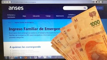 IFE - ANSES