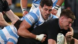 Los Pumas vuelven a enfrentarse a los All Blacks tras el histórico triunfo. /AFP