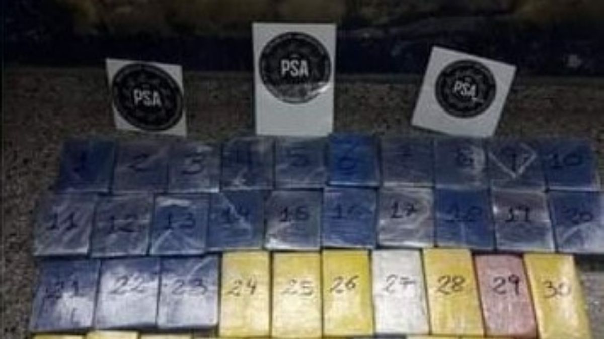 Río Las Pavas: incautaron 48 kilos de cocaína&nbsp;