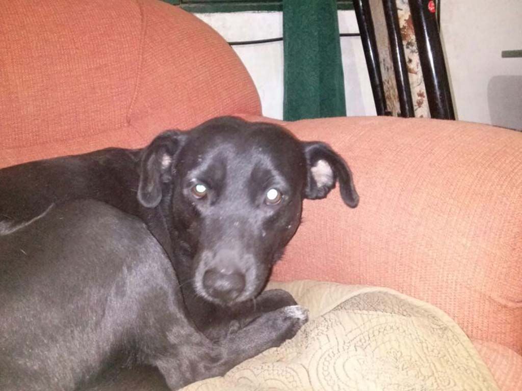 "Negra"