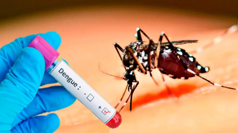 Todo Jujuy | dengue1jpg.webp