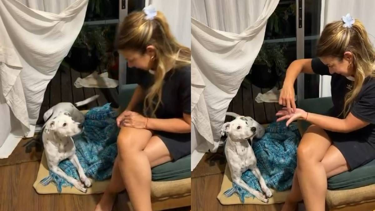 Adoptó un perro sordo y le enseñó lenguaje de señas: la historia de amor que conmueve
