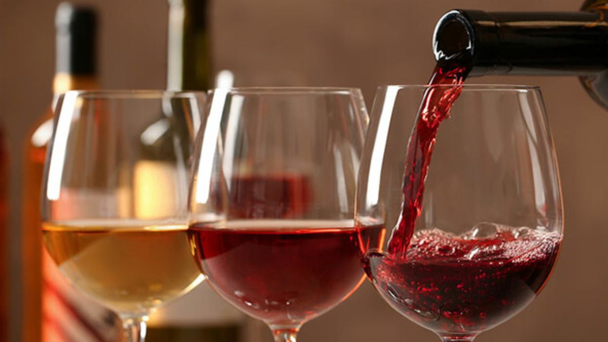 Distintos tipos de vinos