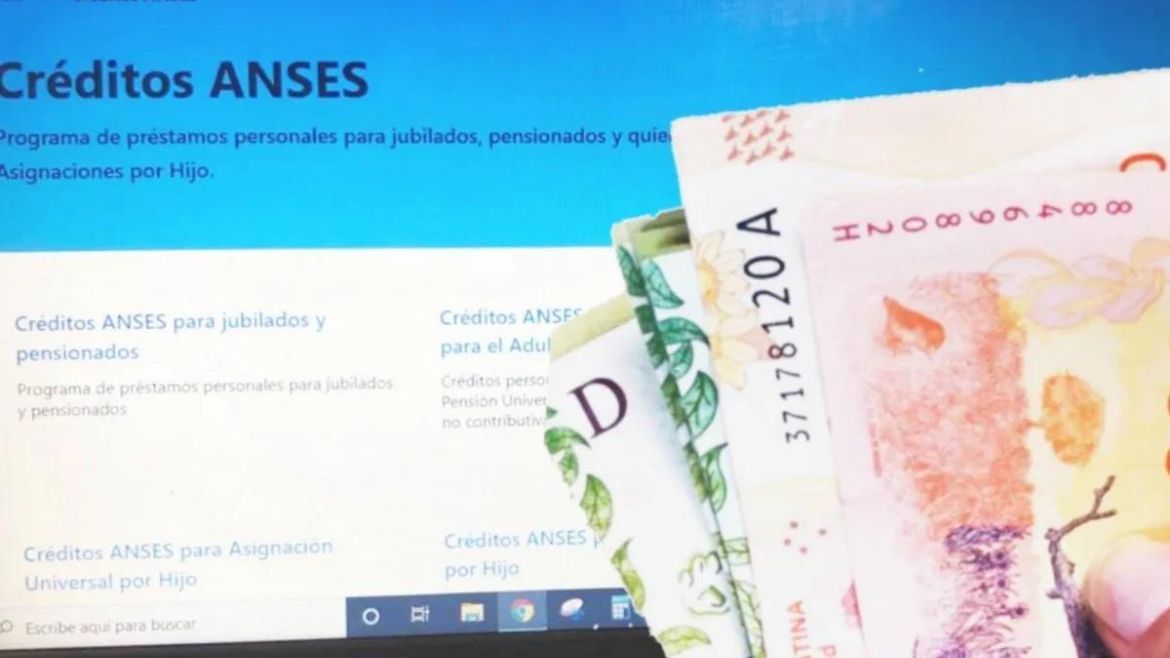Créditos Anses (Foto ilustrativa)