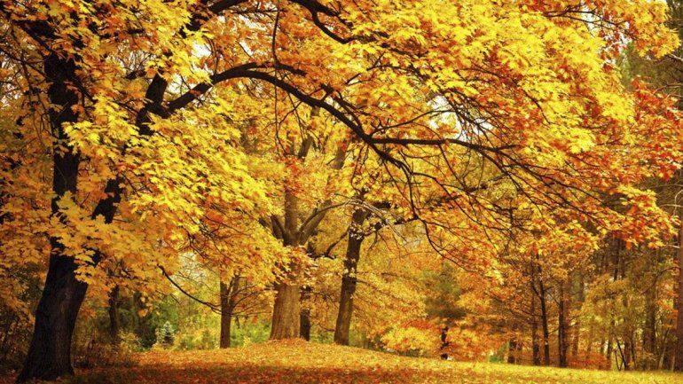 Otoño