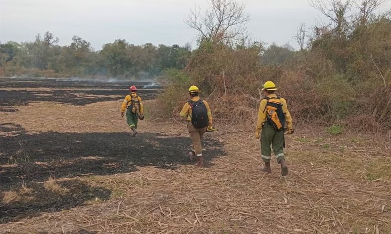 Jujuy nuevamente en alerta extrema por incendio: desde cuándo rige y para dónde&nbsp;(Foto Ministerio de Ambiente)