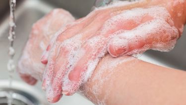 Lavado de manos: cinco pasos para protegerse correctamente
