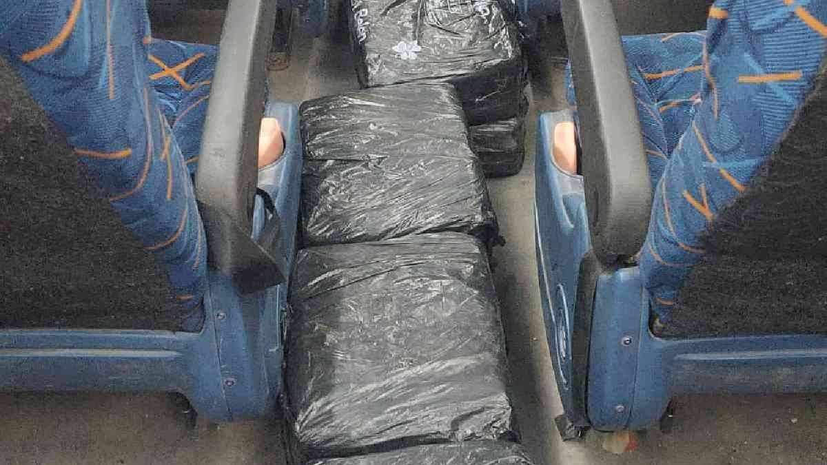Tres Cruces:un micro llevaba 200 kilos de hojas de coca oculta&nbsp;