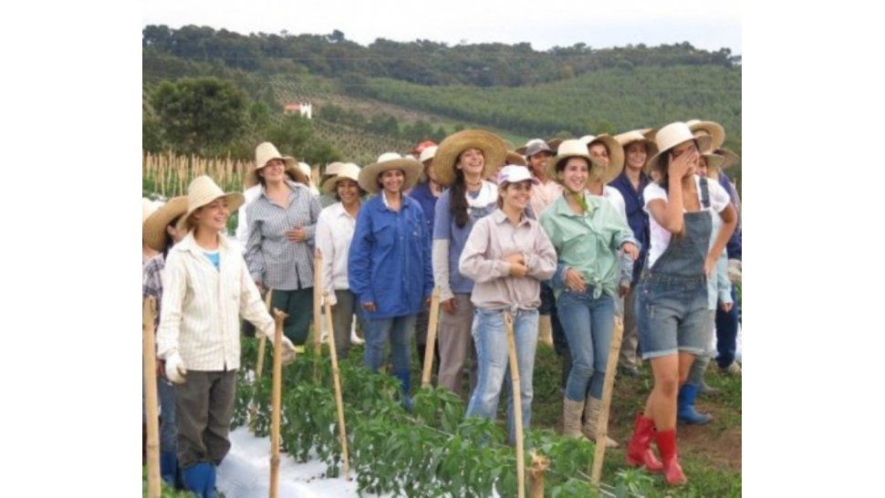 Comunidad de "amazonas"