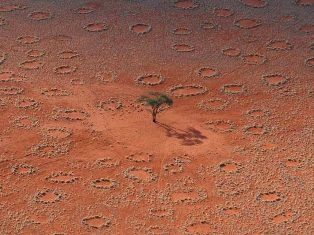 Círculos de hadas, Namibia