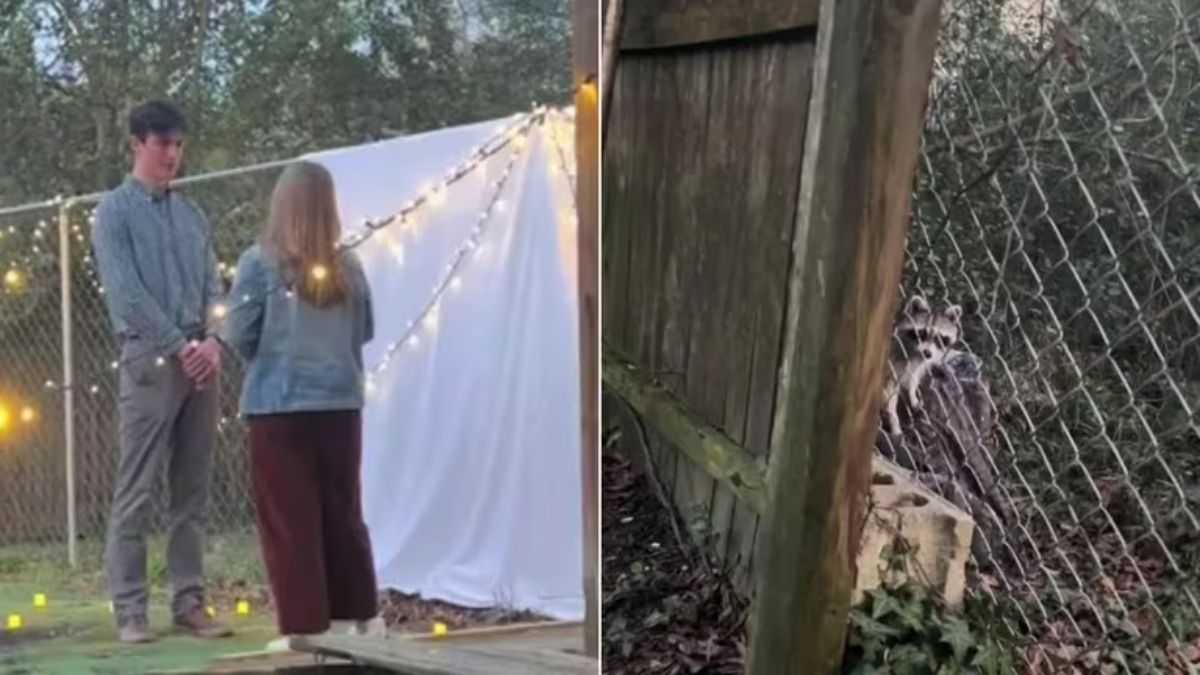 El video se volvió viral en TikTok.