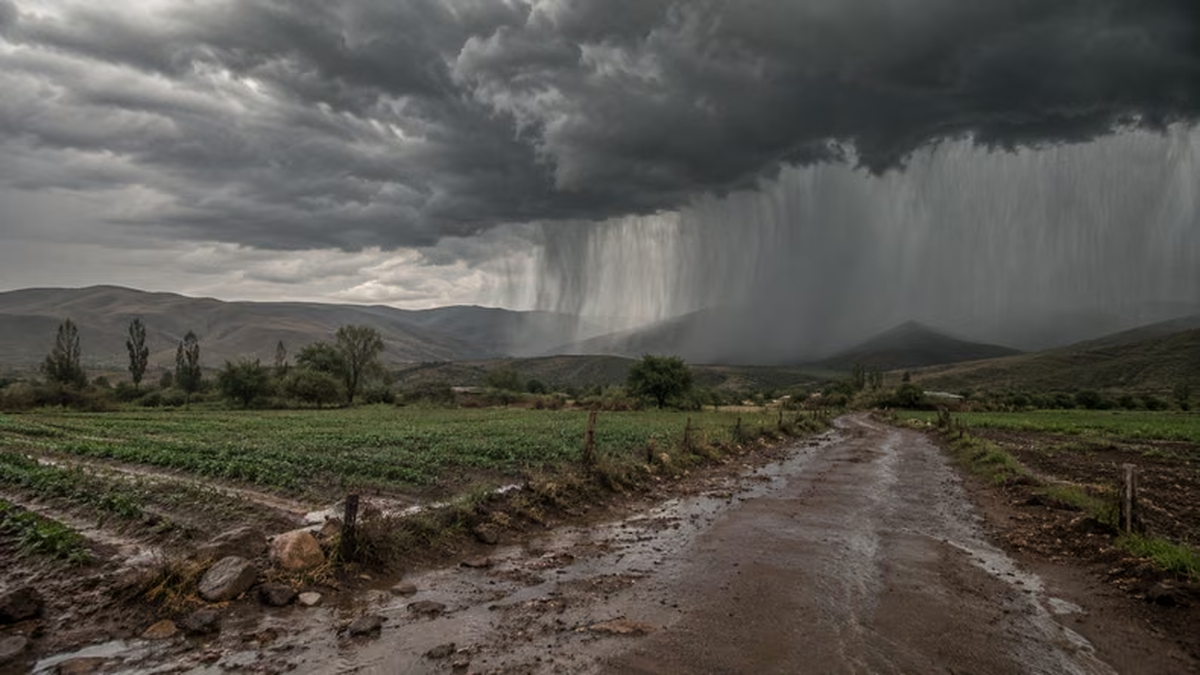 El Niño en Jujuy: Como proteger la casa ante la posibilidad de lluvias y tormentas intensas