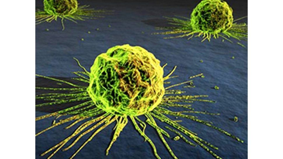 Diez cosas a tener en cue