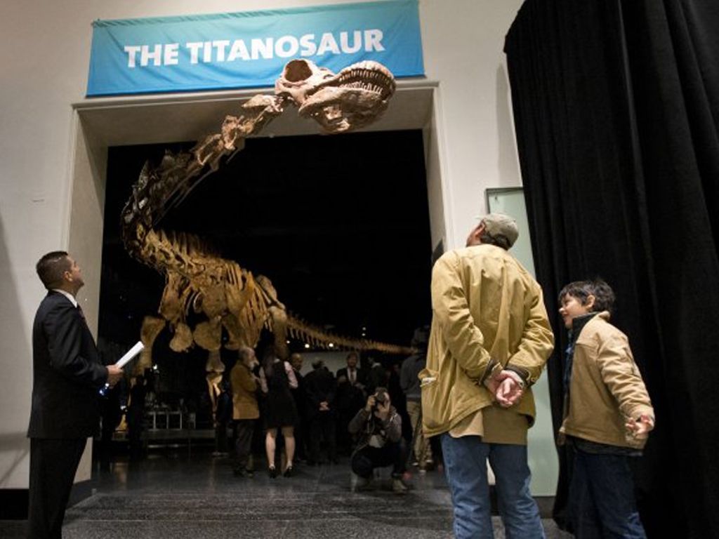 réplica del Titanosaurio