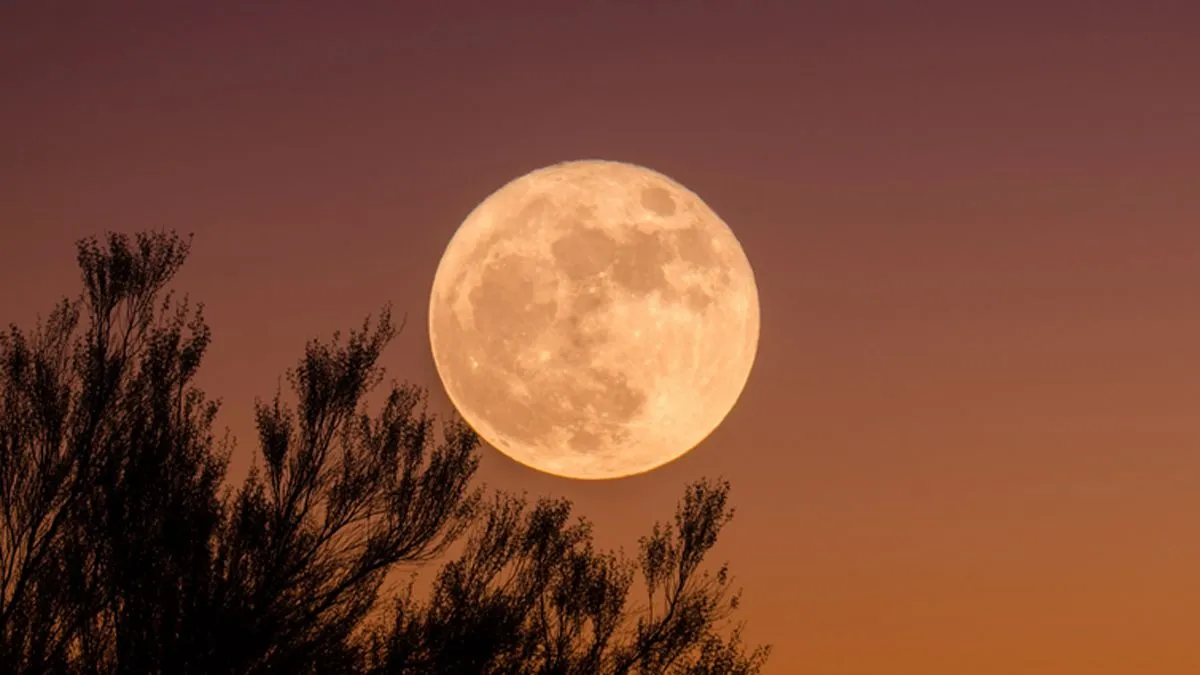 Cuándo es Luna Llena en Febrero 2025 todos los detalles