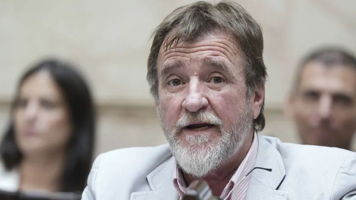 Jorge Rizzotti - Diputado nacional de la UCR