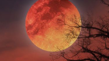 El martes 3 de marzo se producirá el primer eclipse lunar total de 2026. El martes 3 de marzo se producirá el primer eclipse lunar total de 2026.