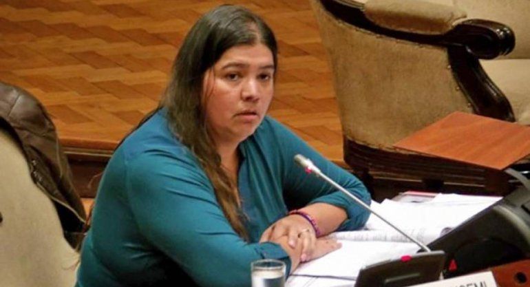 Denunciaron a la diputada Alejandra Cejas