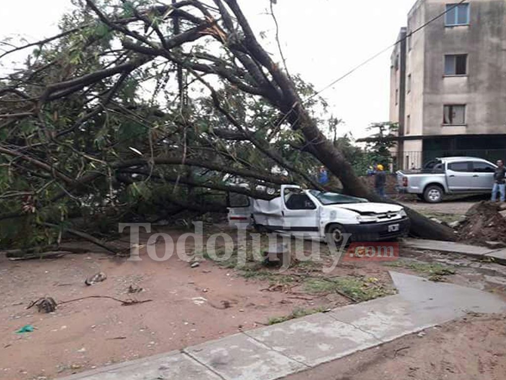 Temporal en Libertador