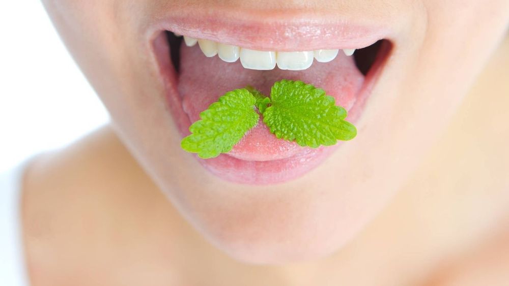 Cuáles son los alimentos que ayudan a combatir el mal aliento.&nbsp;