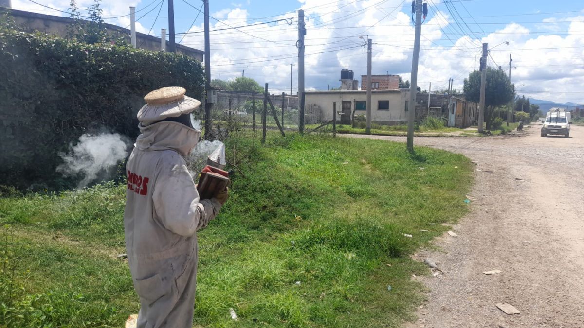 Un enjambrede abejas atacó a varias personas en Palpalá
