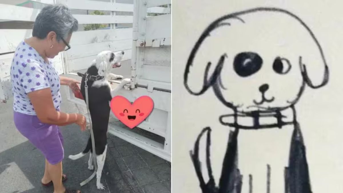 El dibujo de este perro fue compartido a través de diversas plataformas de redes sociales.