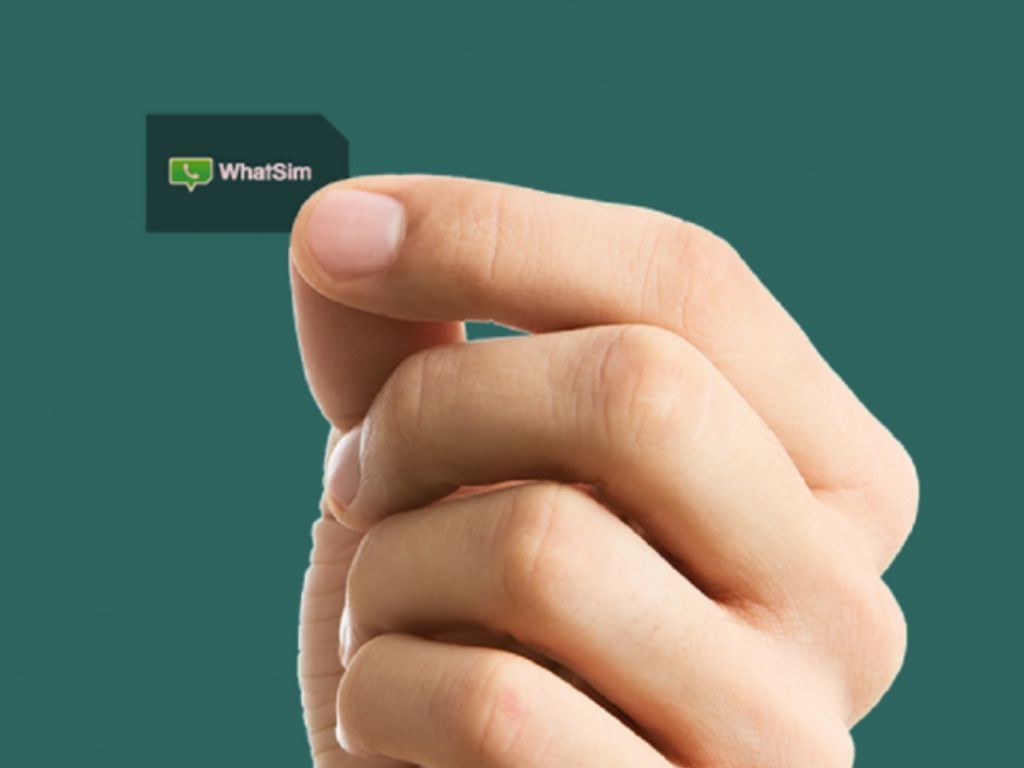 WhatSim