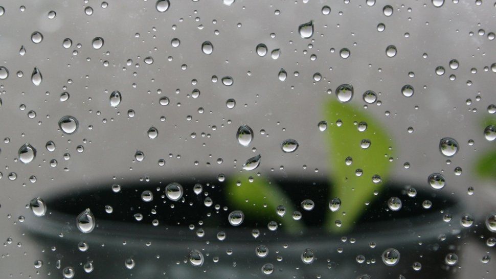 Días de lluvia