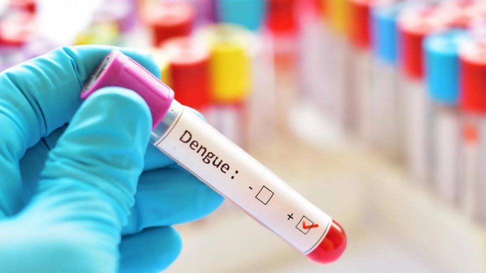 Dengue: Científicos argentinos desarrollaron un dispositivo que detecta el virus del dengue en tan solo 10 minutos.