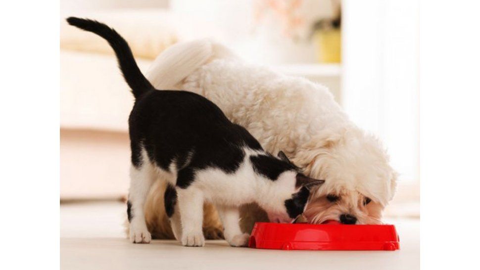 Los errores más comunes