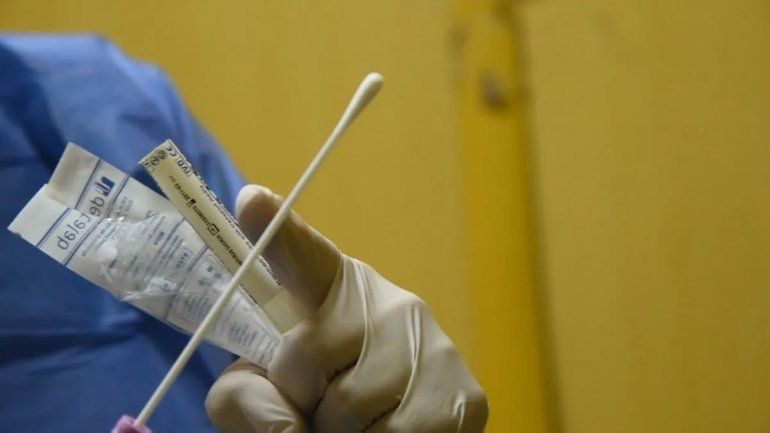 Informe de casos de COVID-19 y fallecidos en la provincia de Jujuy
