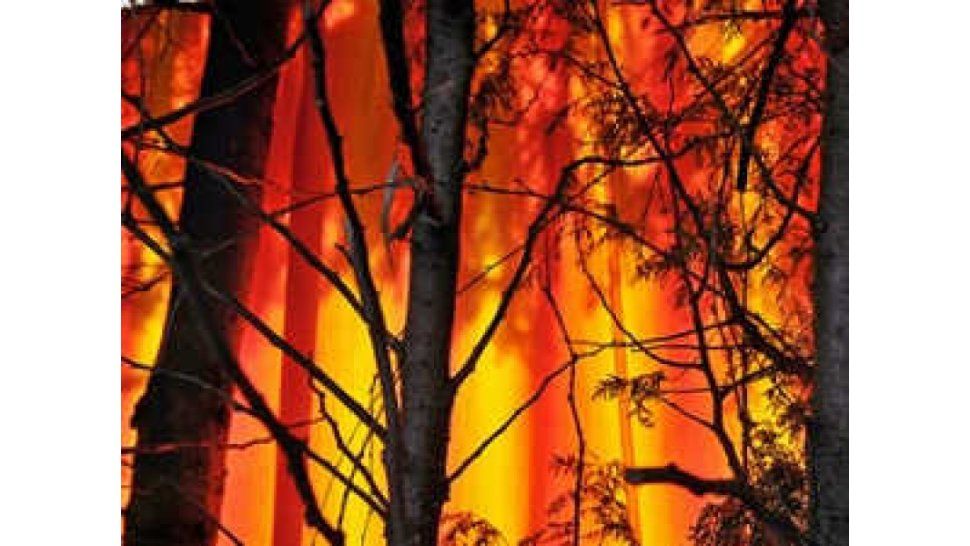 Perfil del piromaníaco