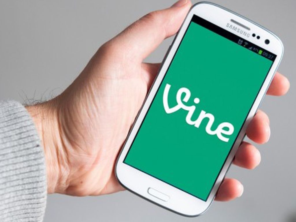 Vine
