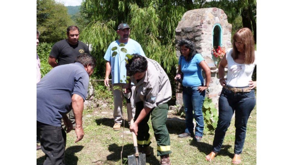 Reforestación
