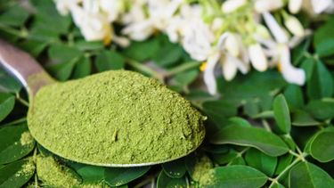 La moringa puede ser una suerte de suplemento natural de vitamina E.