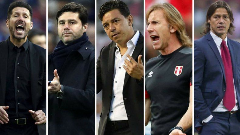 Con Sampaoli afuera, varios son candidatos para dirigir la Selección