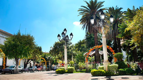 Todo Jujuy | Tarija - Nativa Bolivia
