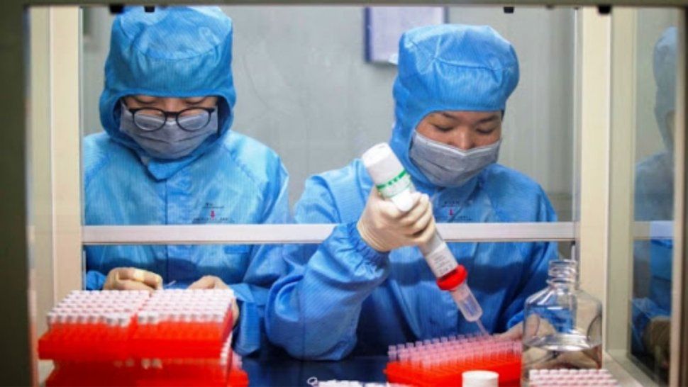la oms espera cientos de millones de vacunas contra el coronavirus