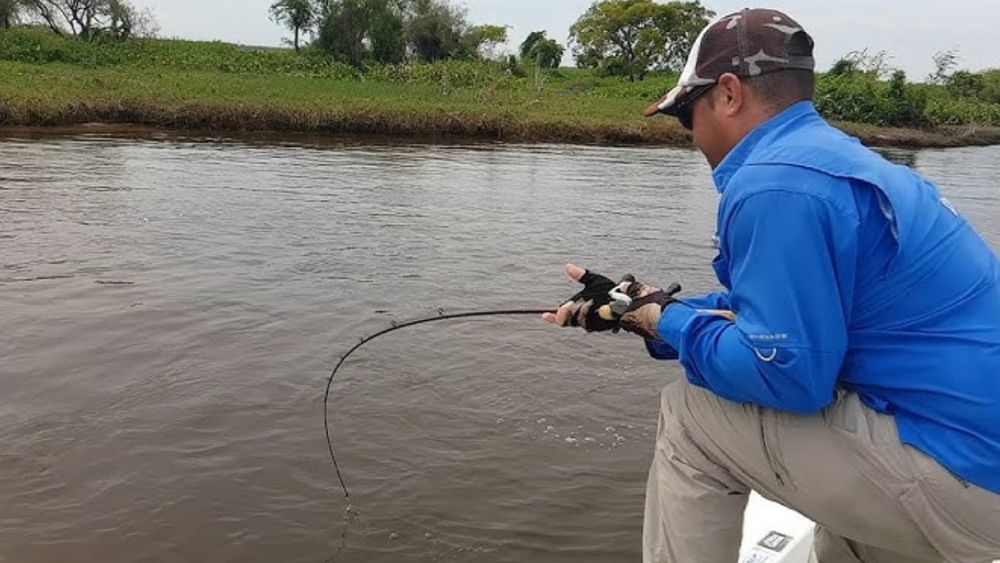 Veda de pesca&nbsp;