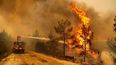Incendios forestales en Jujuy - Imagen de archivo