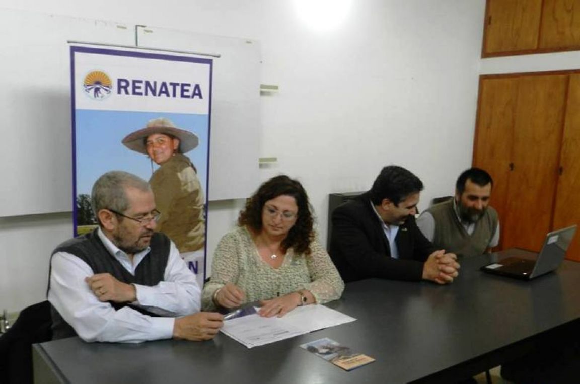 Nueva unidad territorial