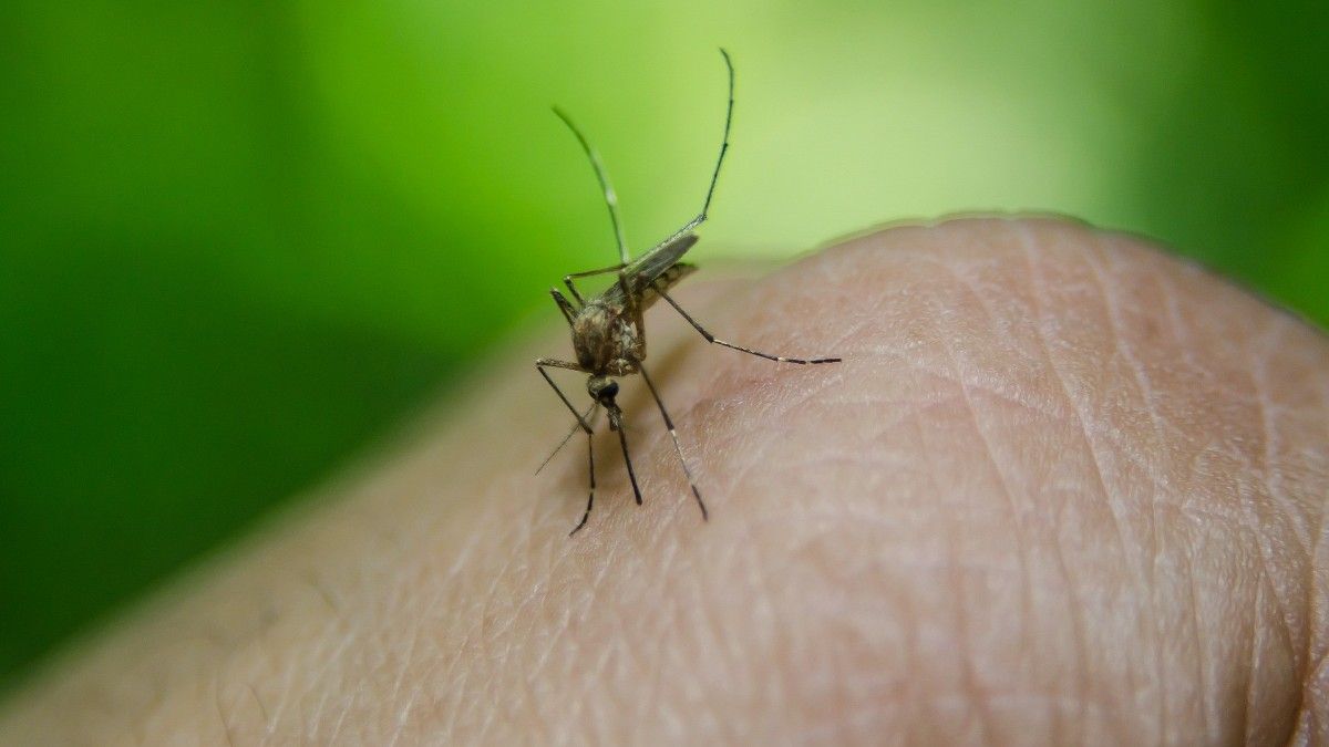 Tucumán: confirmaron la primera muerte por dengue.&nbsp;