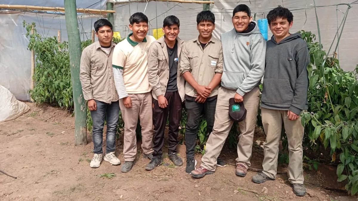 Cuatro estudiantes jujeños a las Olimpiadas Agropecuarias