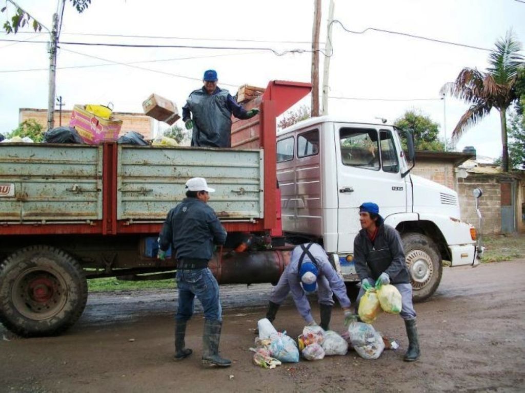 Sin recolección