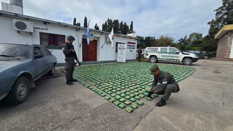 Decomisan casi 1.400 kilos de hojas de coca en la puna jujeña Decomisan casi 1.400 kilos de hojas de coca en la puna jujeña