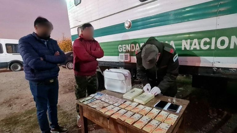 El Perro Limón de Gendarmería detectó drogas en Jujuy