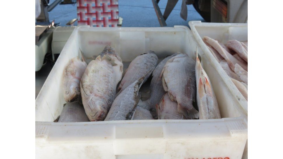 Pescado en Semana Santa