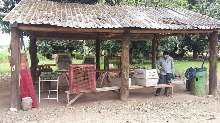 Fotos: Facebook Ministerio de Ambiente de Jujuy